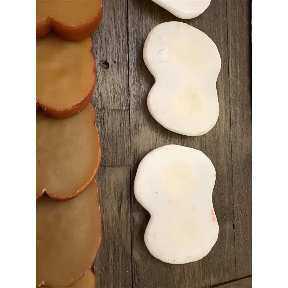 Wax Fake Food Farm House Country Breakfast Bacon Egg Toast Decor, Prop 15 Pc Set